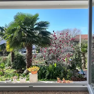 Apartman Summer Bloom, Krk Town